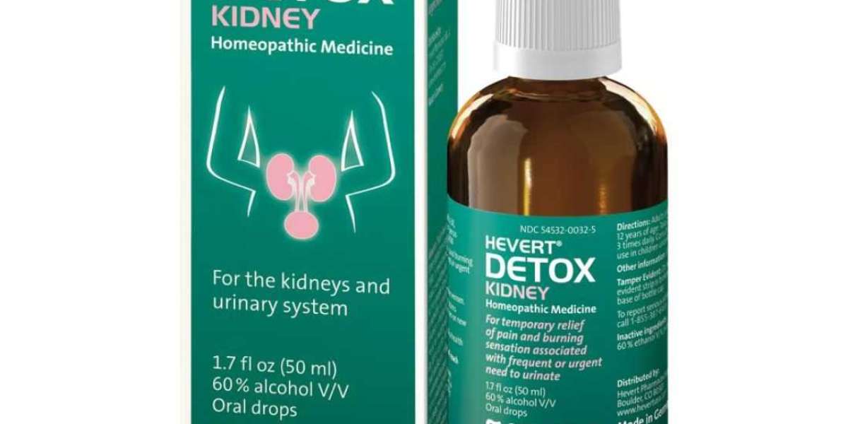 Kidney Detox with Homeopathic Medicine: Gentle Care for Renal Health