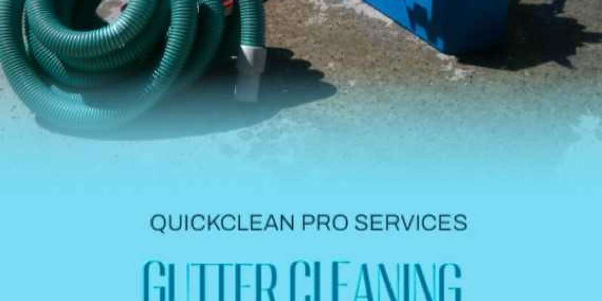 Say goodbye to gutter cleaning problem