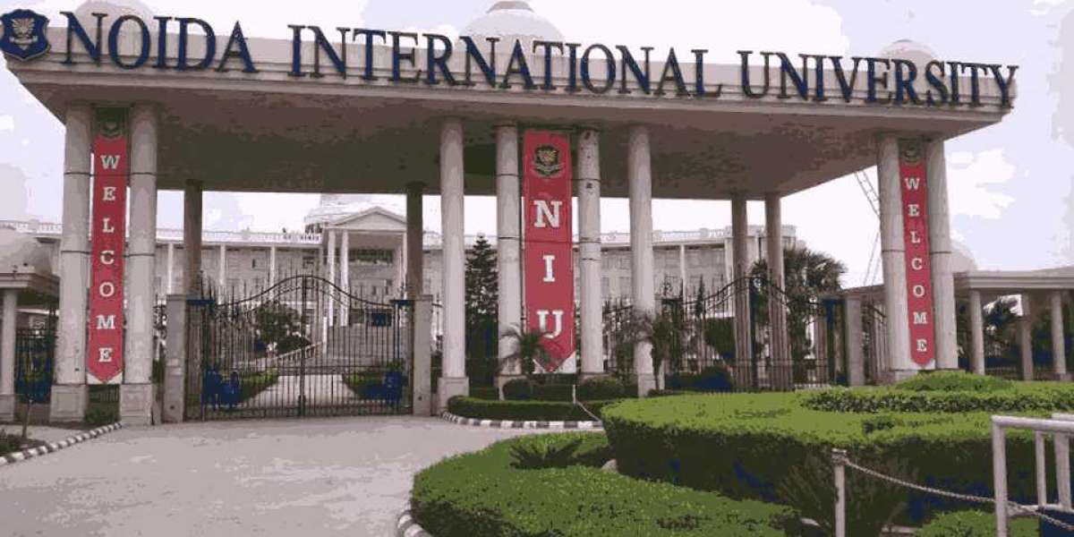 Why Noida International University (NIU) Stands Out as a Top Educational Destination