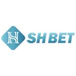 Shbet Website profile picture