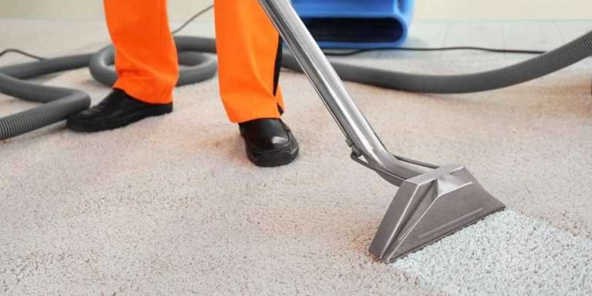 The Essential Role of Carpet Cleaning in Enhancing Home Wellness