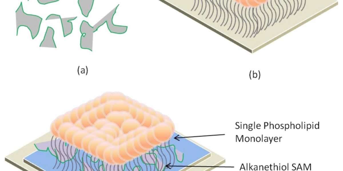 How Long Does a Single Layer Membrane Last? Find Out Here