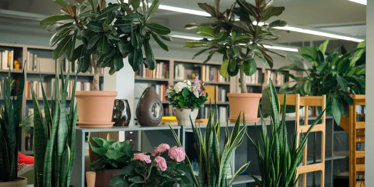 When Do Indoor Plants Need Maintenance Services the Most?