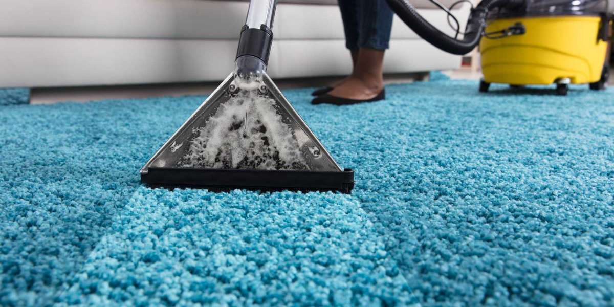 Enhance Your Family’s Health with Professional Carpet Cleaning