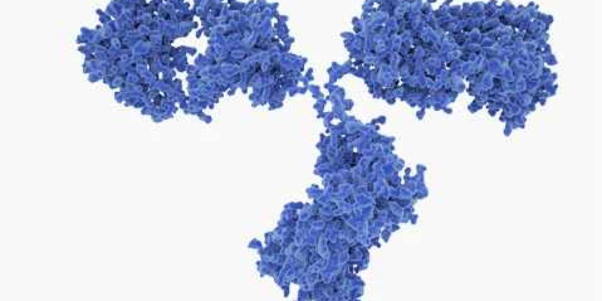 Creative Diagnostics Announces High-Affinity Anti-Adenovirus Monoclonal Antibodies for Research and Assay Development