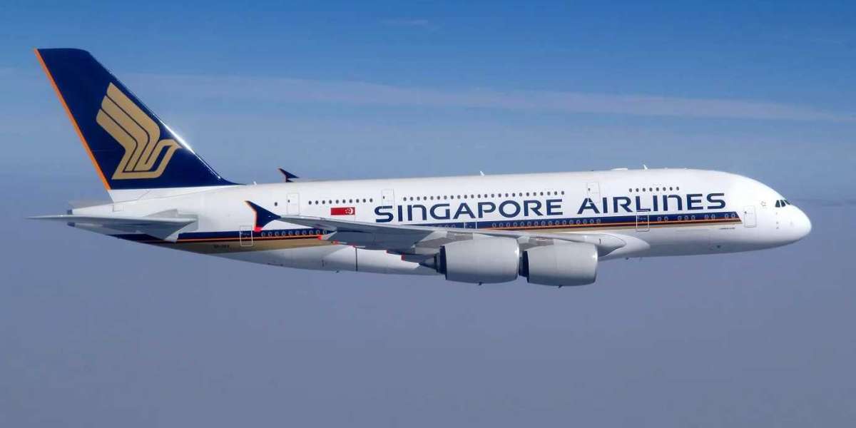 How do I get in touch with Singapore Airlines?