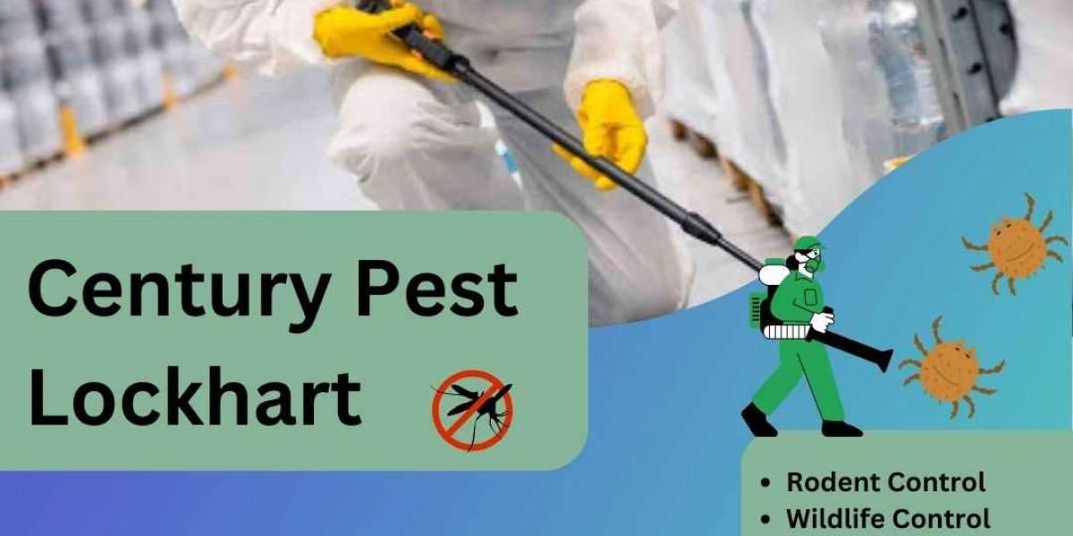 Guide to Finding the Best Exterminator Services in Lockhart