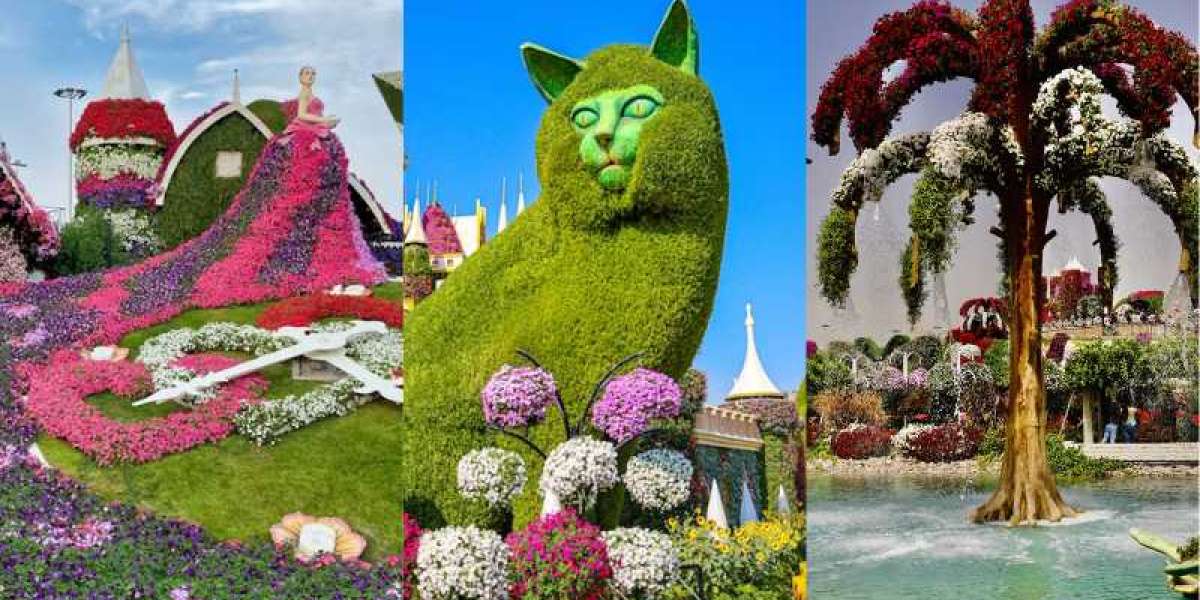 Things To Know Before Exploring Miracle Garden Dubai