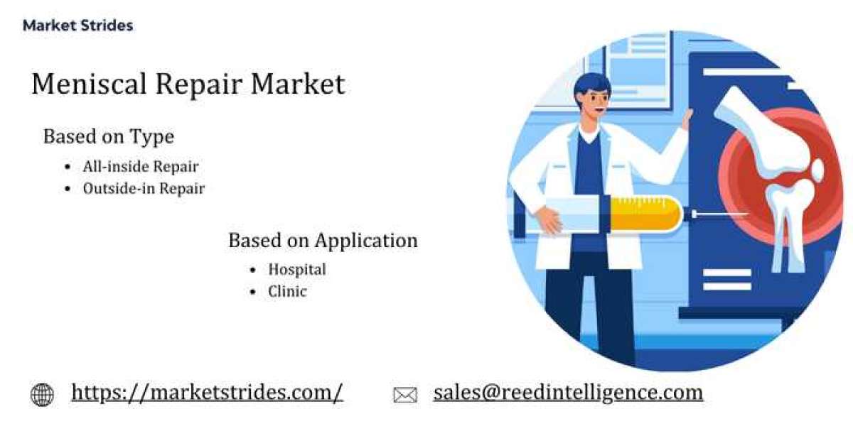 Meniscal Repair Market Forecast 2025-2033: Growth Insights