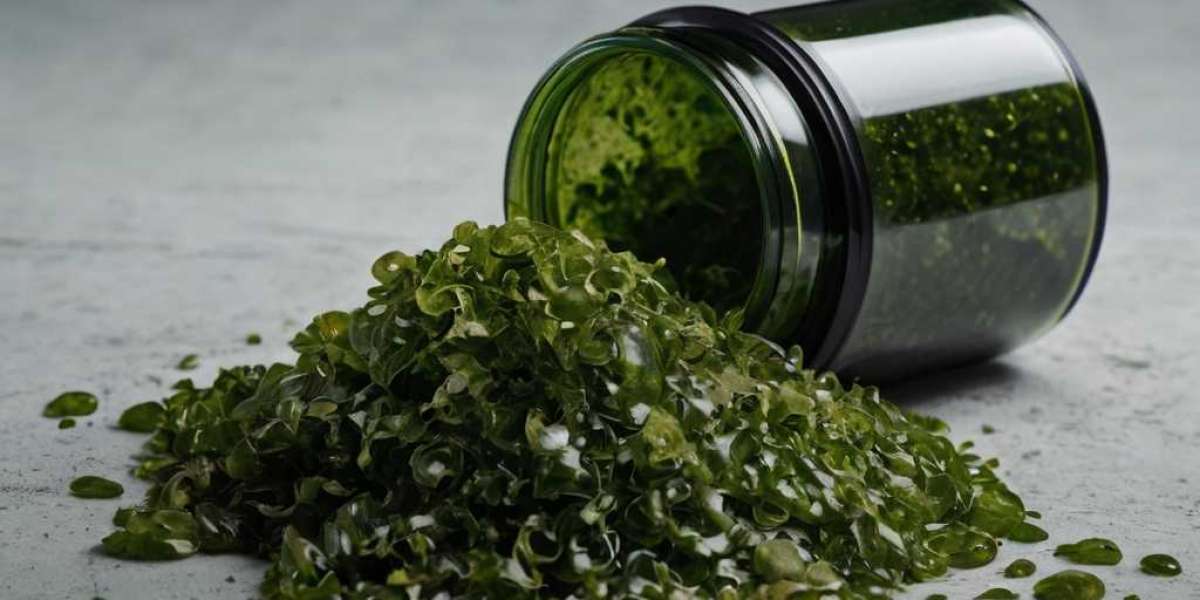 Algae Products Market: What are The Items?