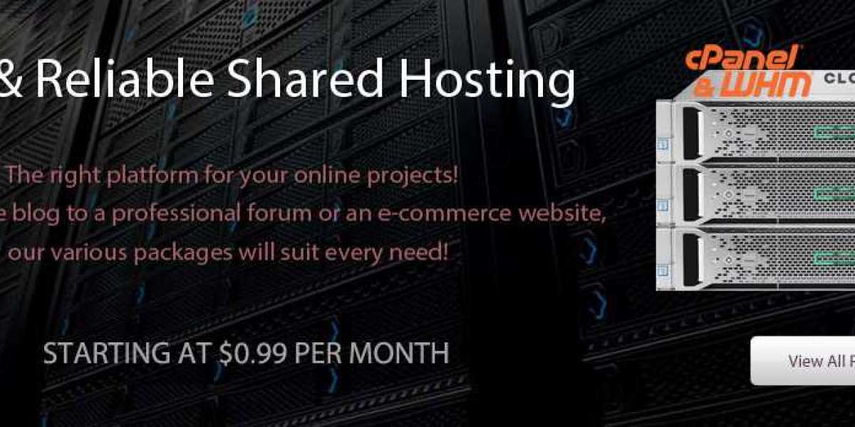 Hosting for Startups | Reliable & Budget-Friendly Web Hosting Solutions