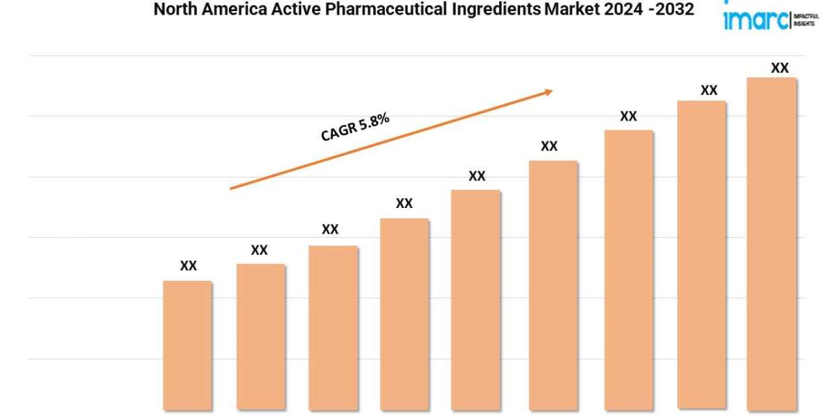 North America Active Pharmaceutical Ingredients Market Growth Analysis, Trends, Report 2024-32