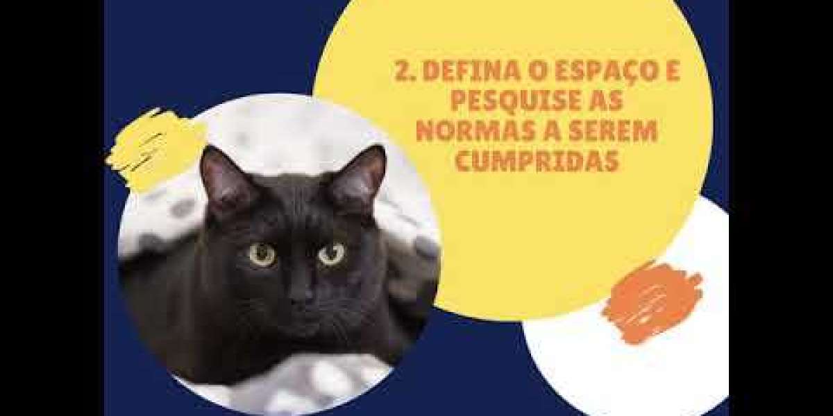 Hemograma Completo no Pré 3: O Que o Exame Revela Sobre a Saúde do Seu Pet?