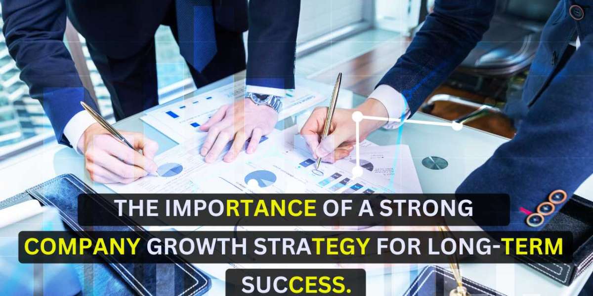 The Importance of a Strong Company Growth Strategy for Long-Term Success