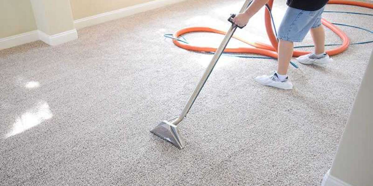 Why Carpet Cleaning Services are Essential for Home Elevation