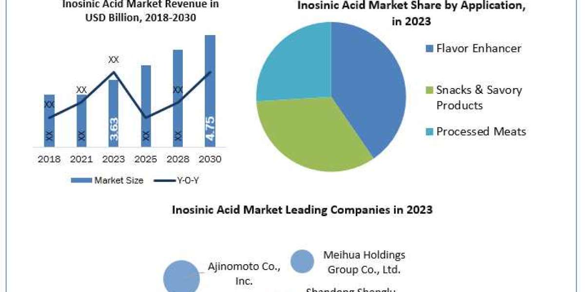 Inosinic Acid Market Industry Analysis, Emerging Trends And Forecast 2030