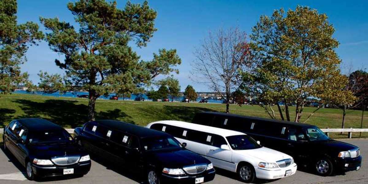 The Top Reasons to Hire a Limo for Your Orlando Vacation