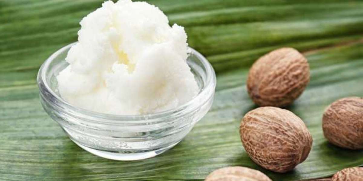 Fractionated Shea Butter: A Game Changer in the Cosmetics and Personal Care Industry