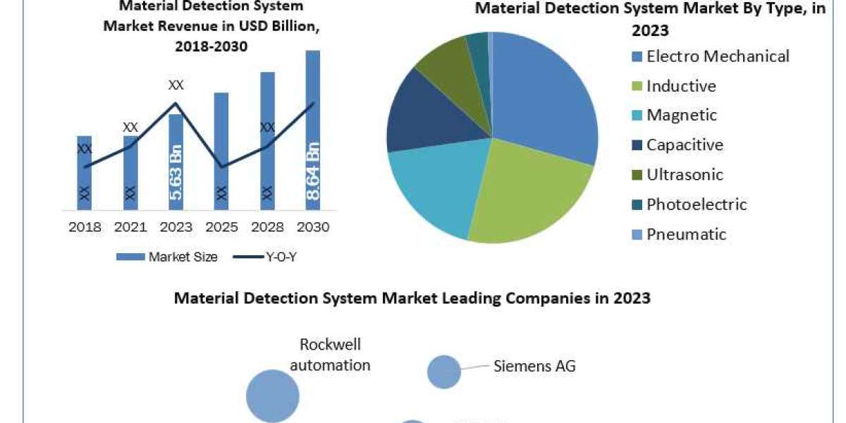 Material Detection System Market Insights on Scope and Growing Demands