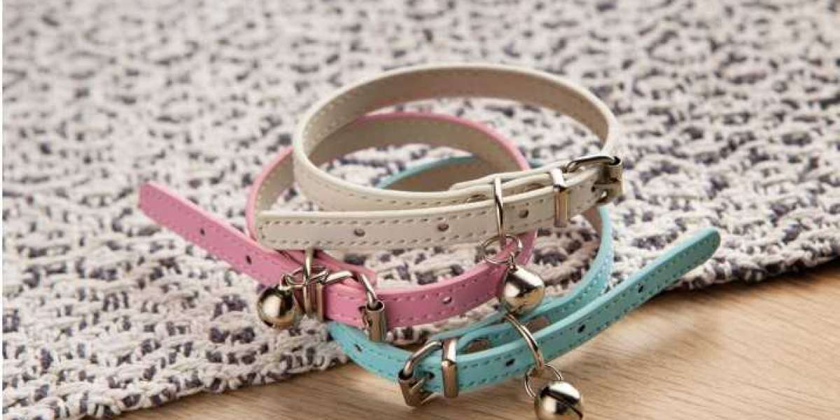 The Essential Guide to Choosing the Right Collar for Dogs and Collar for Cats for Your Pet’s Safety