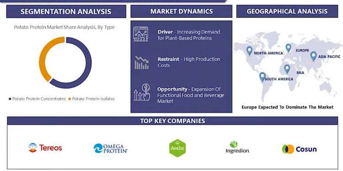 Potato Protein Market Projected To Hit USD 4.19 Billion At A 5.9% CAGR By 2032