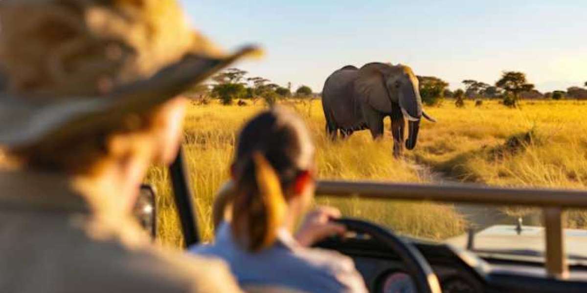 Budget-Friendly Options for Family Safaris in Africa