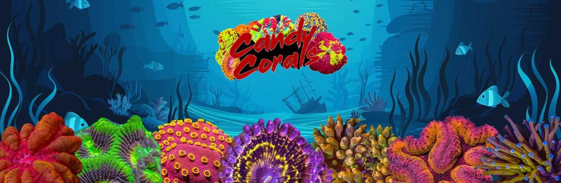 candy corals Cover Image