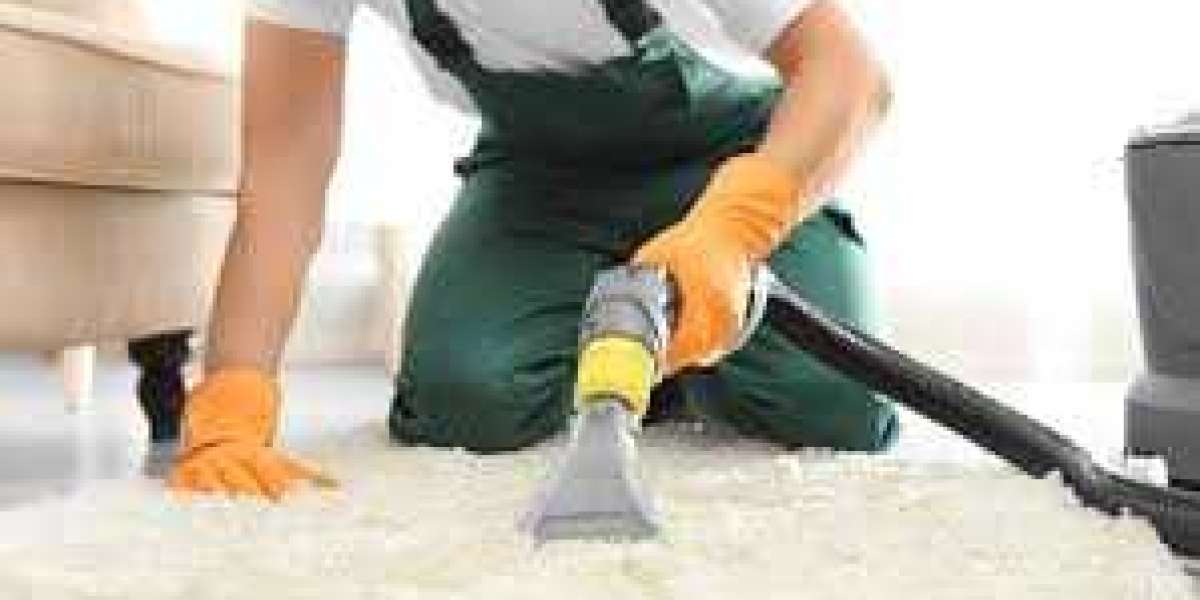 The Home Comfort Boost from Professional Carpet Cleaning Services