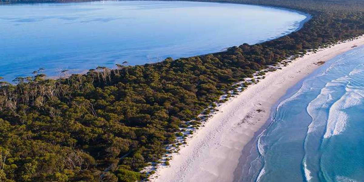 Step Into History and Adventure on a Maria Island Day Trip!