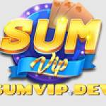 SUMVIPLink Sum Vip Chính Thức profile picture