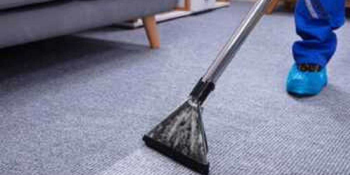 The Visual Benefits of Regular Carpet Cleaning for Your Home