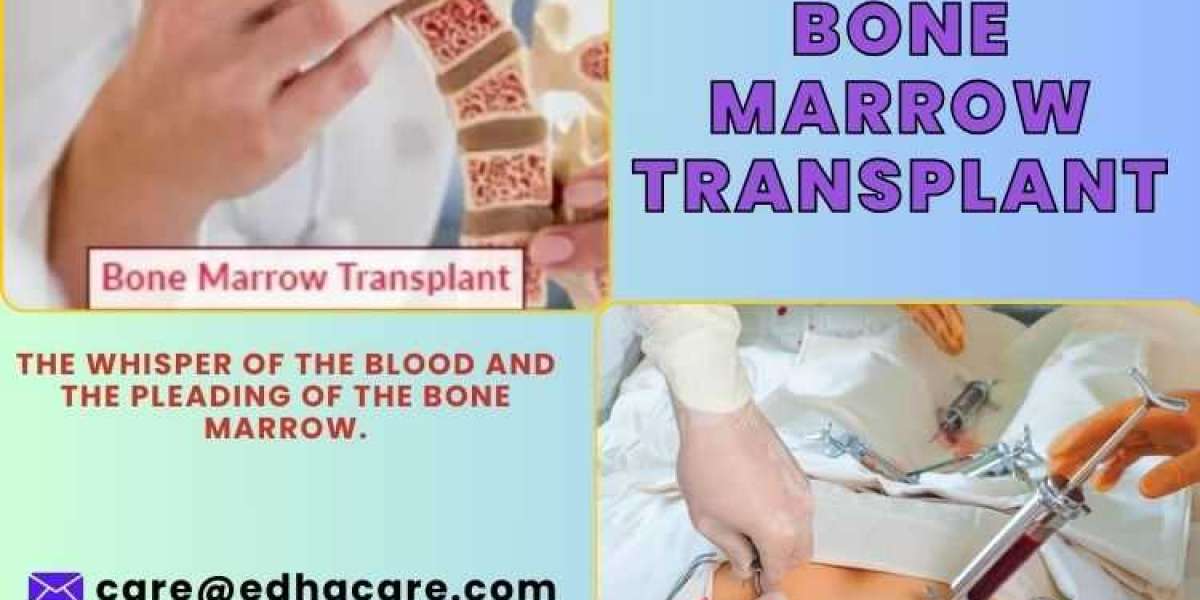 Bone Marrow Transplant Procedure For Cancer Patients: Detail Guide