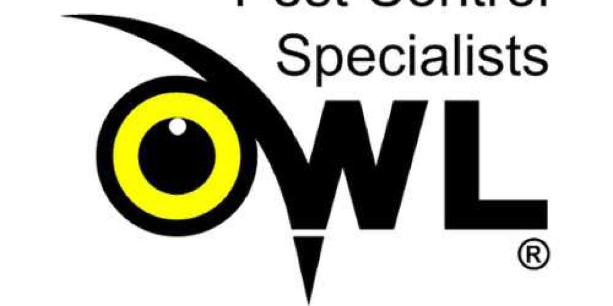 Pest Control Services for Effective Extermination
