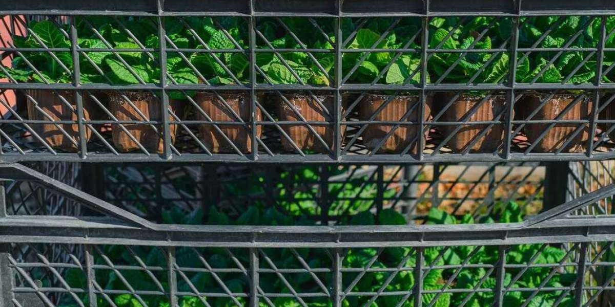 Elevate Your Outdoor Space with a Stunning Metal Outdoor Privacy Screen and Patio Privacy Screen
