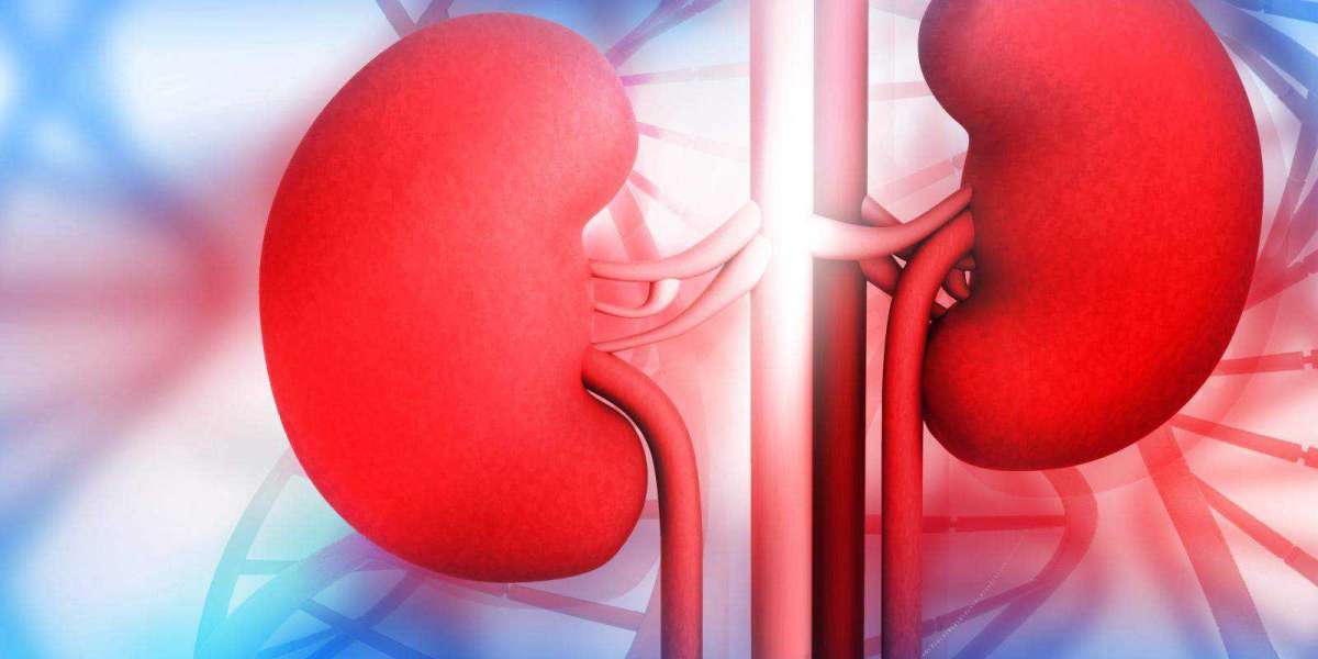 Exploring Kidney Disease Ayurvedic Treatment: Ancient Solutions for Modern Problems- Aksa Ayurveda