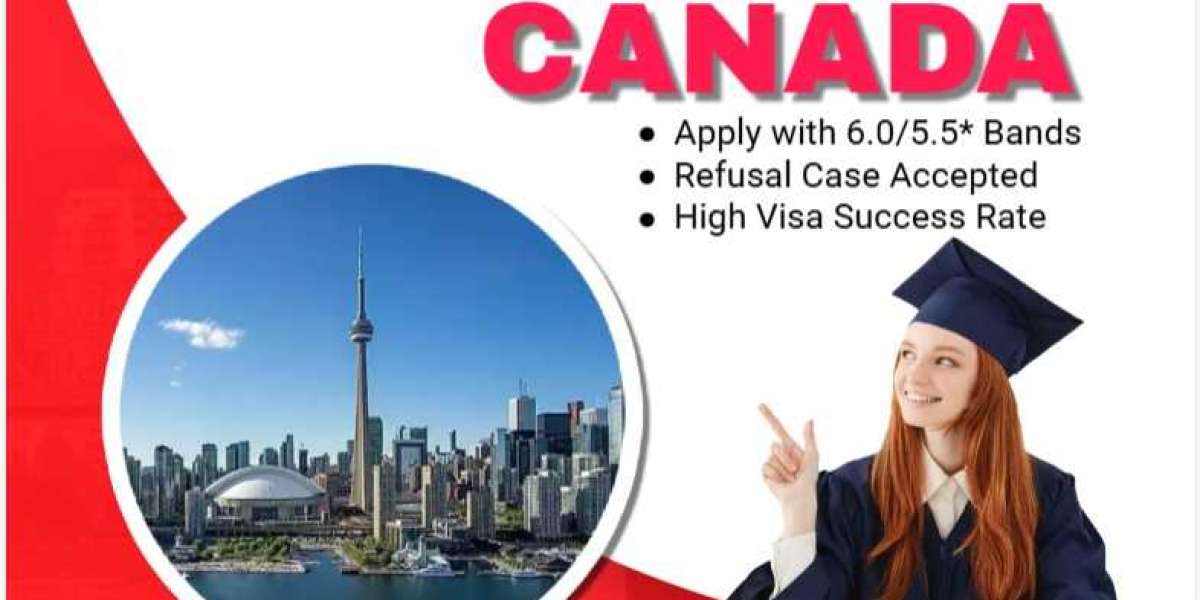 Unlocking Your Path to Australia: The Best Immigration Consultants in INDIA