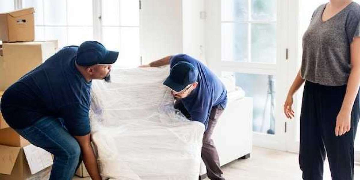 Reliable Dubai Cargo Services for Safe Shipping to New Zealand
