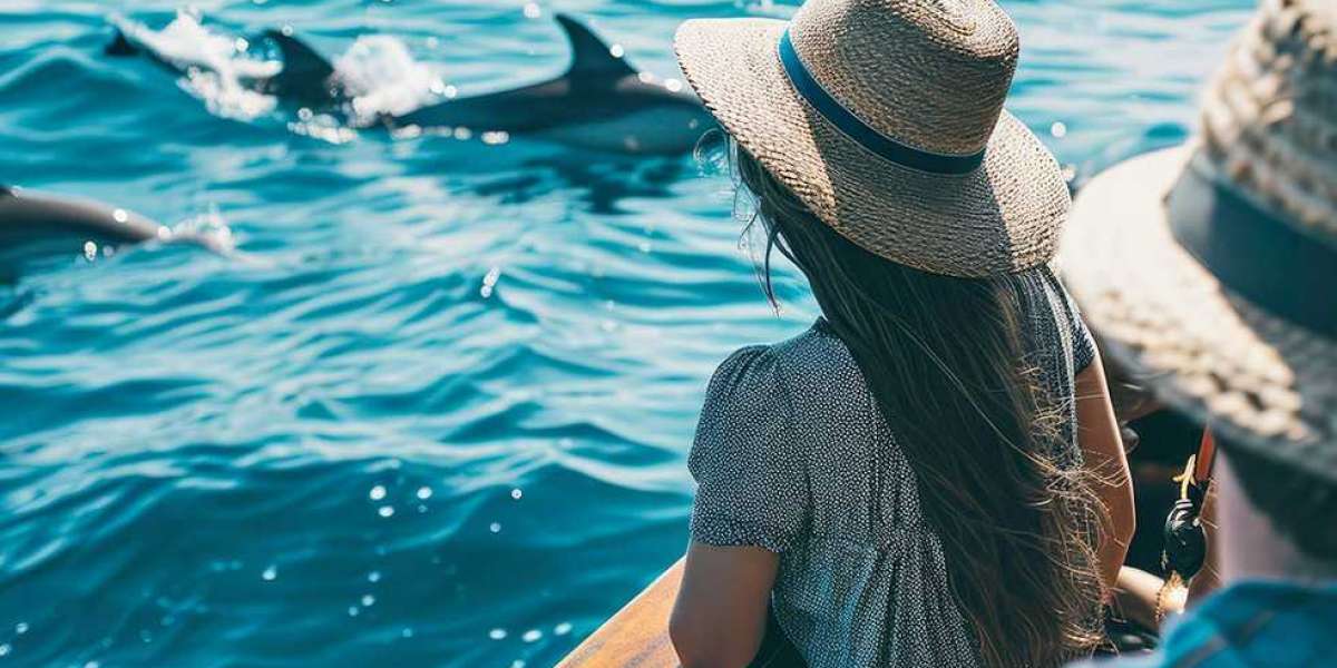 Why You’re More Likely to See Dolphins on a Morning Cruise