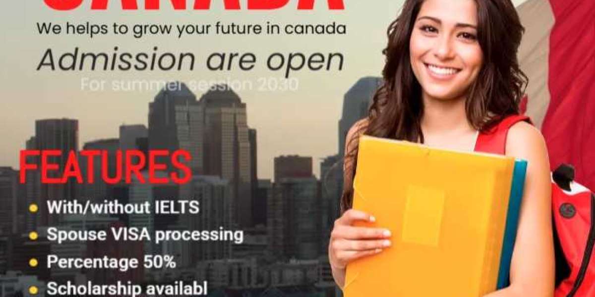A Guide from Ferozepur Educational Consultants
