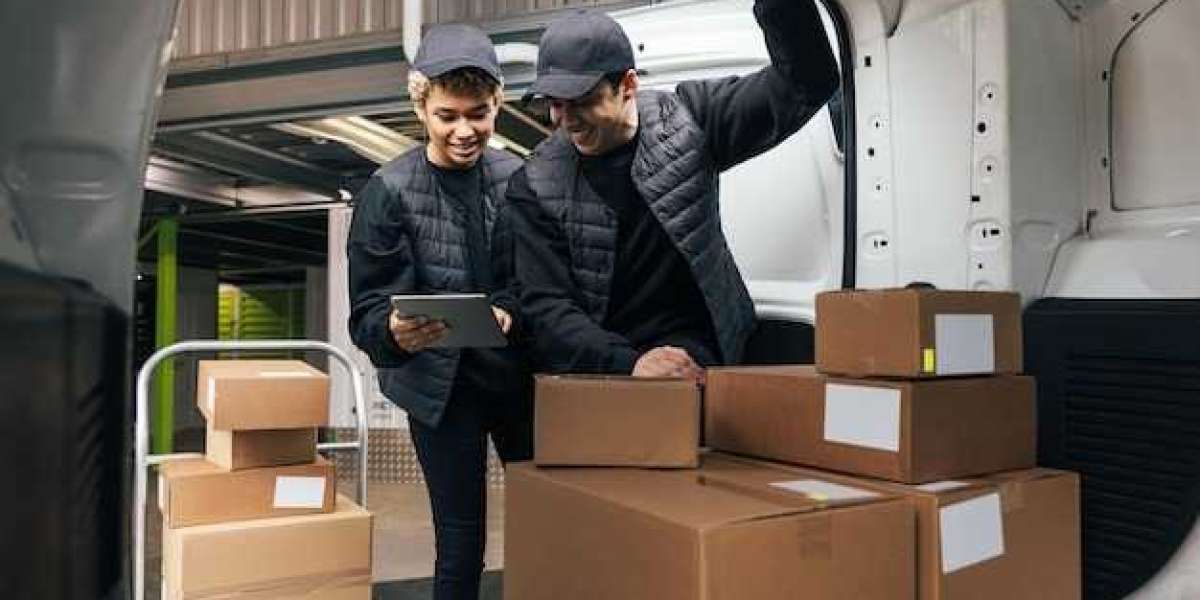 Affordable Shipping to New Zealand with Trusted Cargo Experts