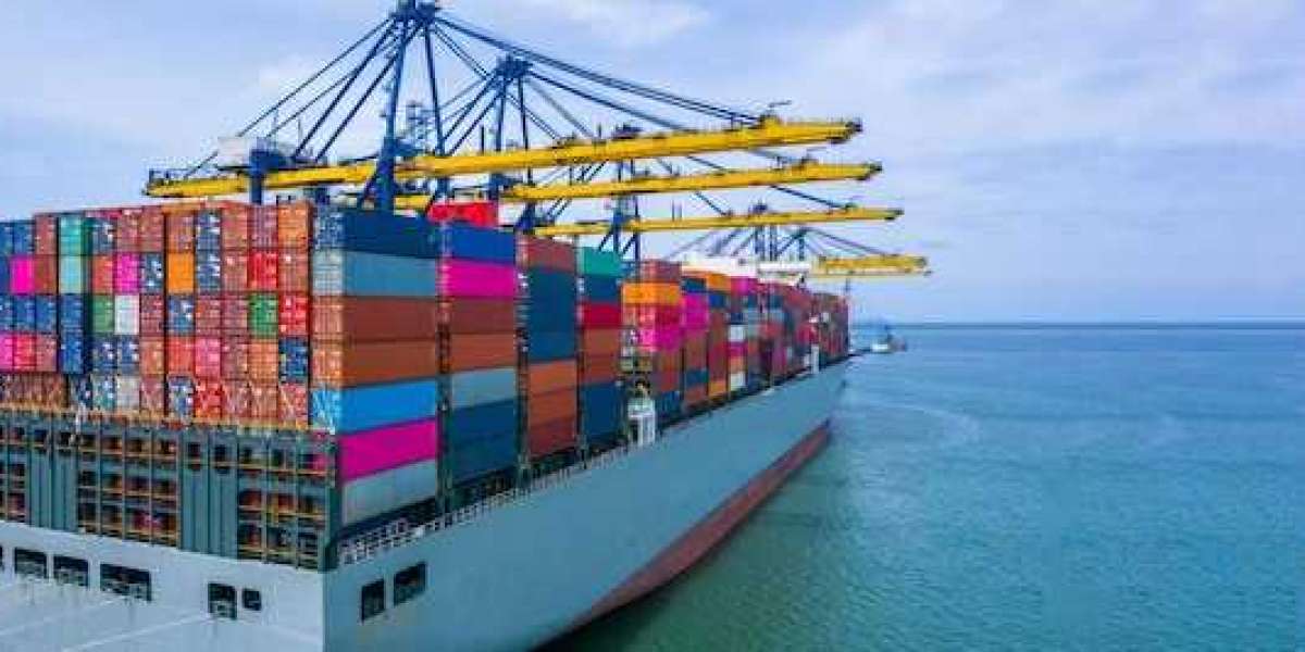 How to Choose the Best Moving Company in Dubai for Shipping to New Zealand