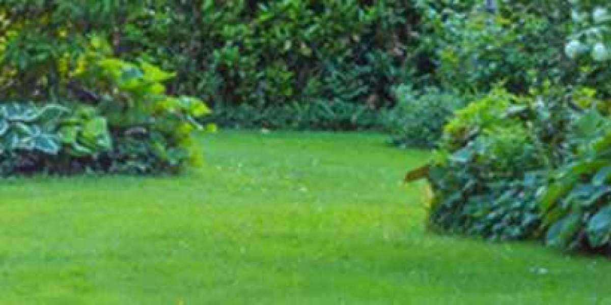 Botany Lawn Mowing Services with Precision Cuts and Green Waste Removal