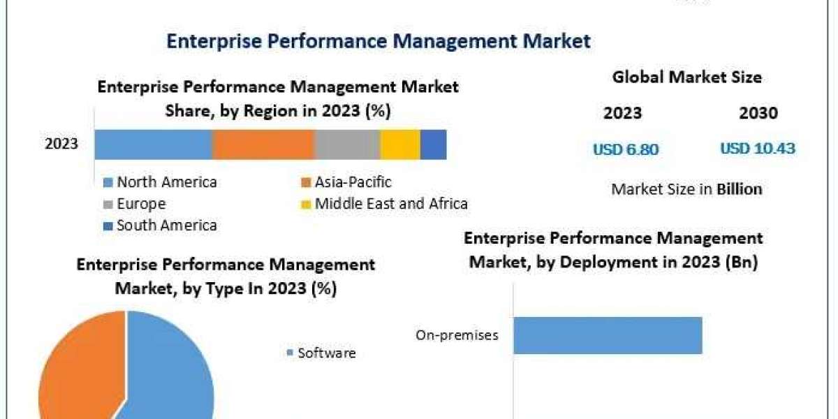 Enterprise Performance Management Market Segmentation and Worldwide Players Strategies up to 2030