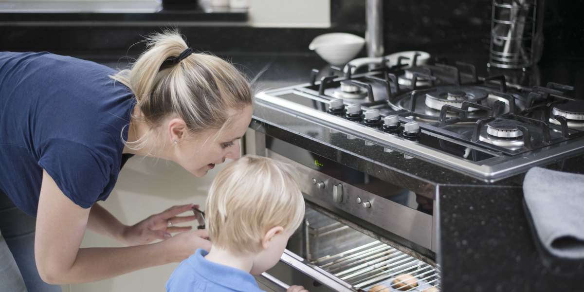 Guide To Integrated Electric Ovens: The Intermediate Guide In Integrated Electric Ovens