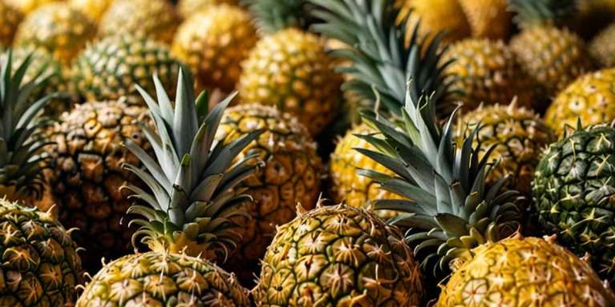 Pineapple Processing Business Plan 2025: Setup Requirements, Machinery Cost & ROI