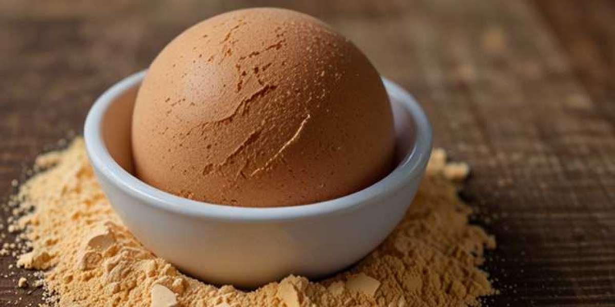 Egg Powder Manufacturing Plant Setup: Complete Business Plan with Machinery Cost Breakdown