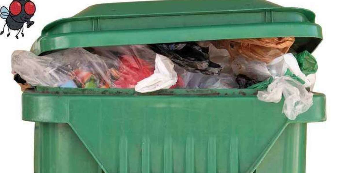 How Much Does Bin Cleaning Cost – Pricing Guide for Residential & Commercial Services