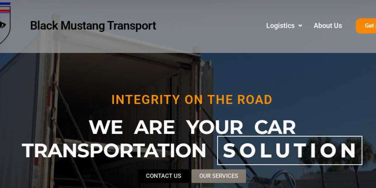 Black Mustang Transport – Fast, Safe, and Trusted Vehicle Transport