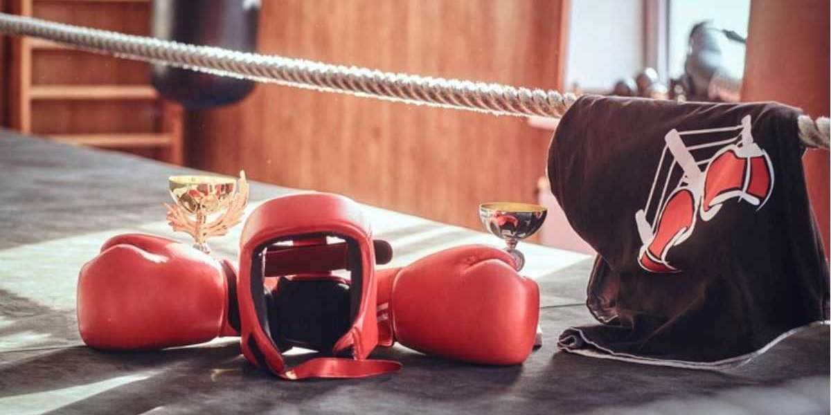 Protect Yourself in the Ring with Quality Boxing Head Guards
